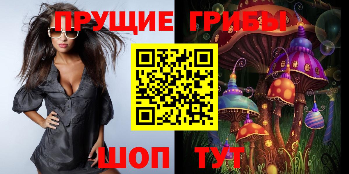Старая Купавна  Псилоцибиновые грибы Psilocybine cubensis  Вход с VPN 
